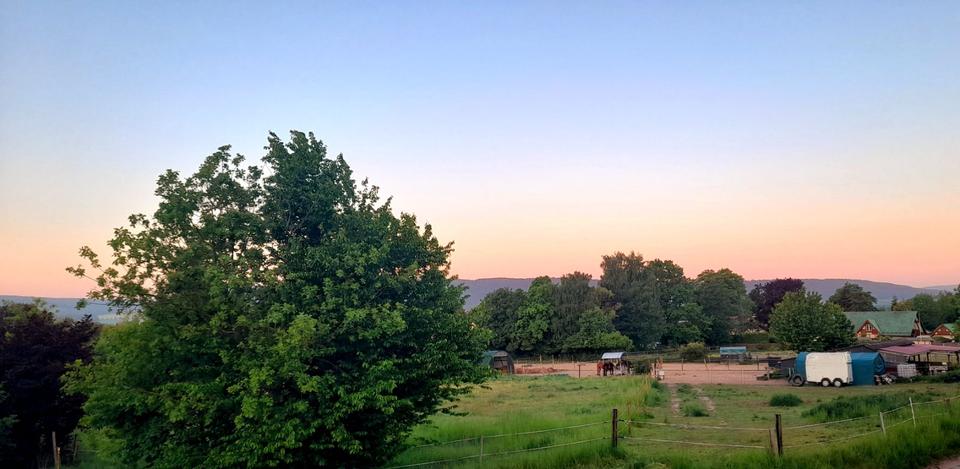 Wohnen auf Zeit Springe - 1 Zimmer, 16 m&sup2;, 380&euro; | Angebot:23523376