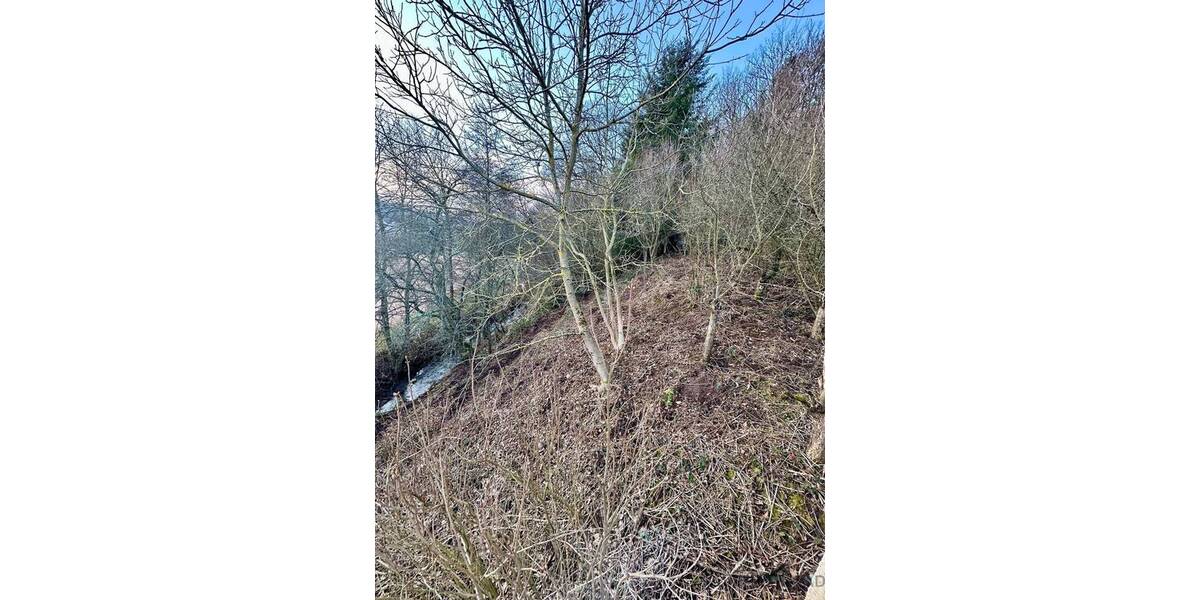 Einfamilienhaus Idar-Oberstein Oberstein - 3 Zimmer, 80 m&sup2;, 750&euro; | Angebot:26258951