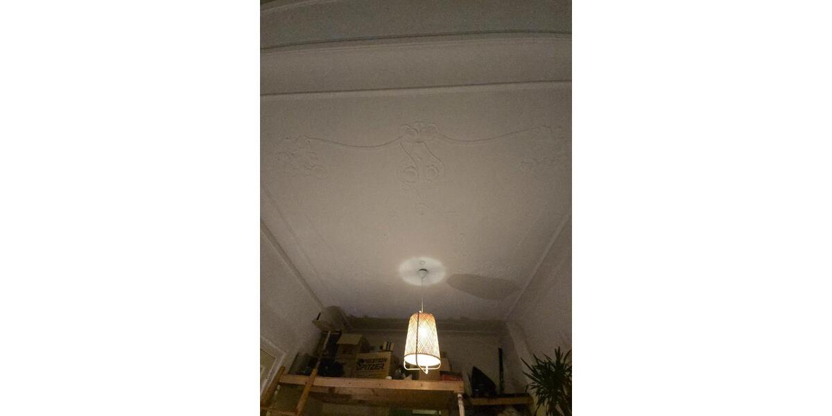 WG Zimmer mit Erker Nähe Staatstheater Cottbus 1 zimmer