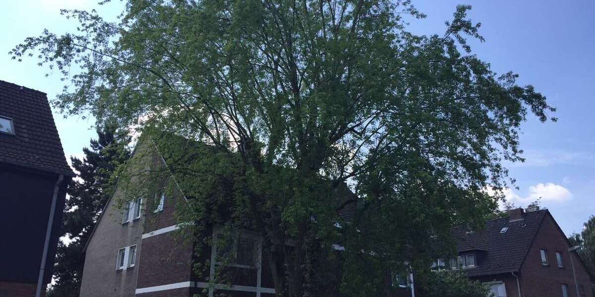 Etagenwohnung Herne Baukau - 1 Zimmer, 25 m&sup2;, 250&euro; | Angebot:25208522