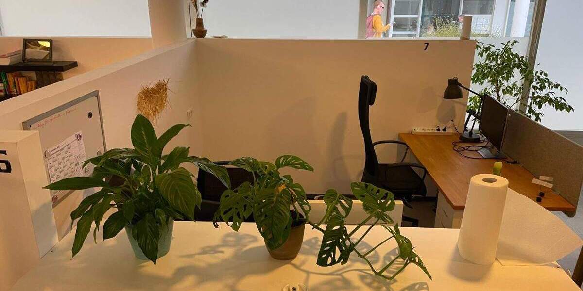 Gewerbeobjekt Freilassing Aumühle - 147&euro; | Angebot:25228894