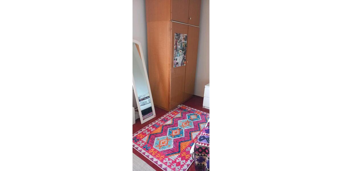 Etagenwohnung Mannheim Neckarstadt-Ost - 1 Zimmer, 16 m&sup2;, 400&euro; | Angebot:26231245