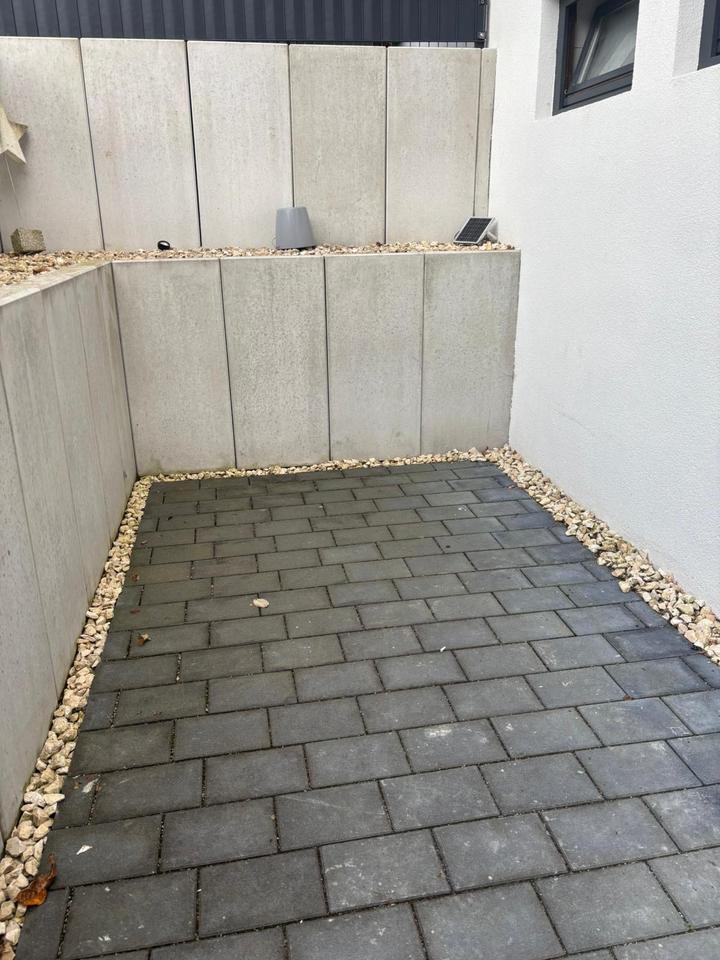 Mietwohnung 2,5 Zimmer ab sofort zu vermieten Tolle Lage