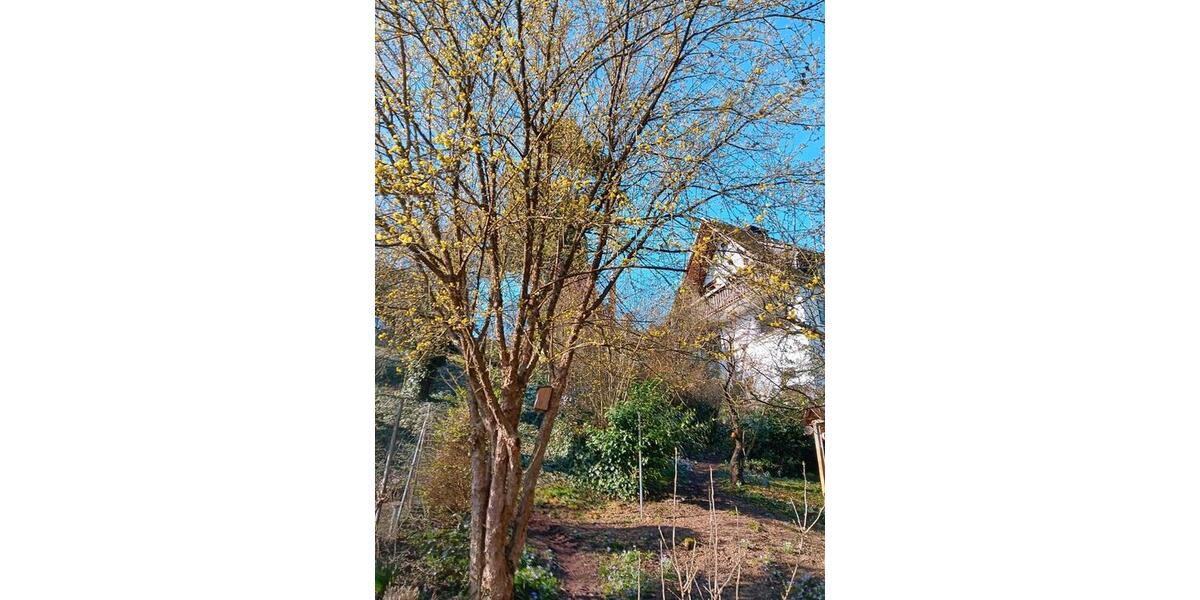 Etagenwohnung Neustadt am Main - 4 Zimmer, 150 m&sup2;, 880&euro; | Angebot:25650908