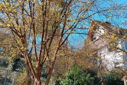 Wohnung Neustadt am Main - 4 Zimmer, 150 m&sup2;, 880&euro; | Angebot:25650908