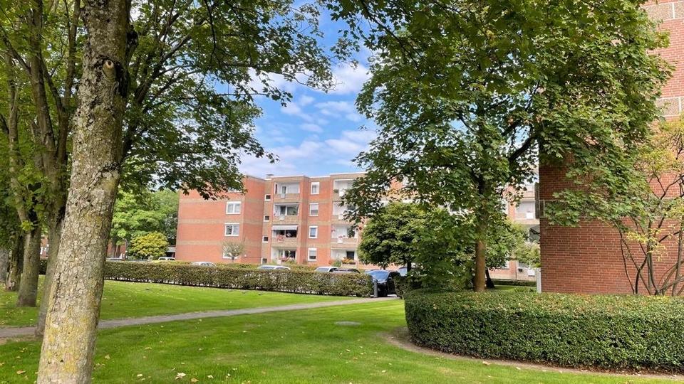 Helle 3 -Zimmer -Wohnung 3 zimmer