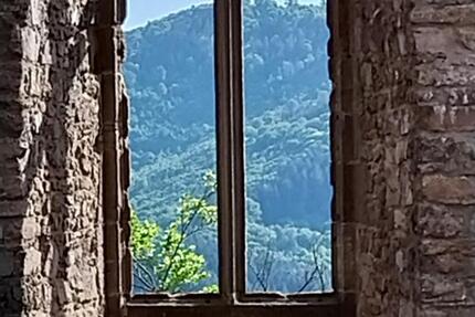 Zimmer zur individuellen Nutzung, keine WGWHG ! zimmer