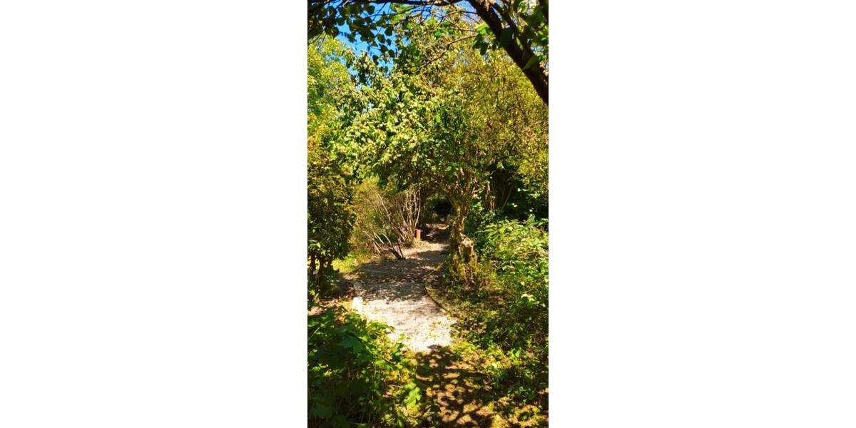 Terrassenwohnung Lörrach Salzert - 3 Zimmer, 140 m&sup2;, 1.800&euro; | Angebot:26517758