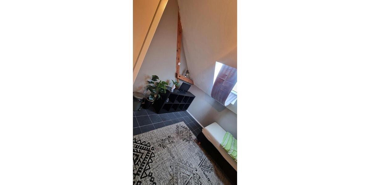 Wohnen auf Zeit Wolfenbüttel - 1 Zimmer, 240 m&sup2;, 14&euro; | Angebot:26083337