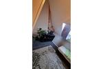 Wohnen auf Zeit Wolfenbüttel - 1 Zimmer, 240 m&sup2;, 14&euro; | Angebot:26083337