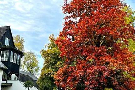 Gewerbeobjekt Wedemark - 300&euro; | Angebot:24471838