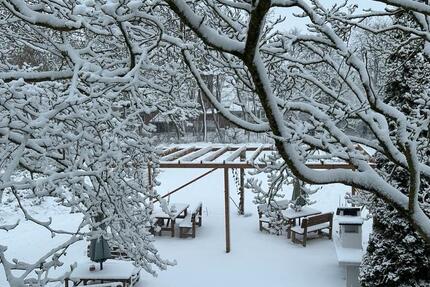 Wohnung Butjadingen - 1 Zimmer, 35 m&sup2;, 850&euro; | Angebot:24660297