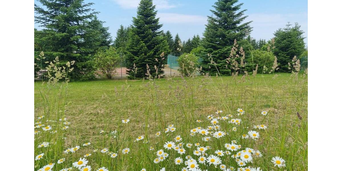 Ankommen und wohlfühlen ! Ihre gemütliche Singlewohnung im schönen Hayn-Jetzt mit 300€* Gutschein zimmer