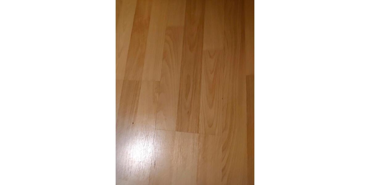 Wohnen auf Zeit Potsdam Babelsberg - 1.5 Zimmer, 15 m&sup2;, 55&euro; | Angebot:26262389