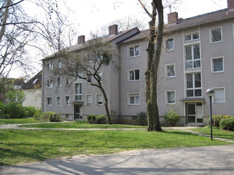 3 Zimmer Wohnung zu Vermieten zimmer