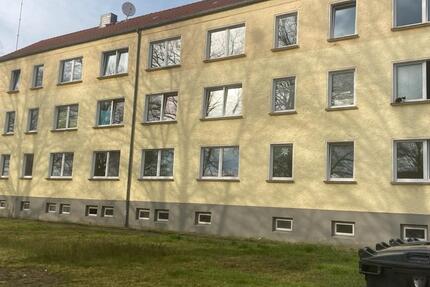 Wohnung Klötze - 3 Zimmer, 61 m&sup2;, 310&euro; | Angebot:25046452