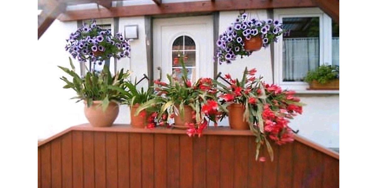 Hochparterre Heringsdorf - 2 Zimmer, 40 m&sup2;, 70&euro; | Angebot:25996027