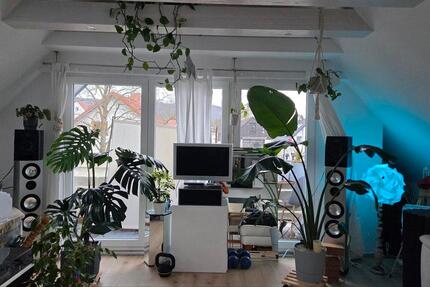 Wohnung Darmstadt Darmstadt-Nord - 2 Zimmer, 49 m&sup2;, 870&euro; | Angebot:25960489