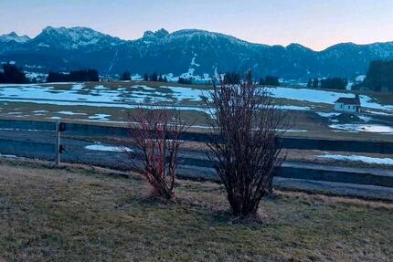 Wohnung Seeg - 1 Zimmer, 40 m&sup2;, 500&euro; | Angebot:26040557