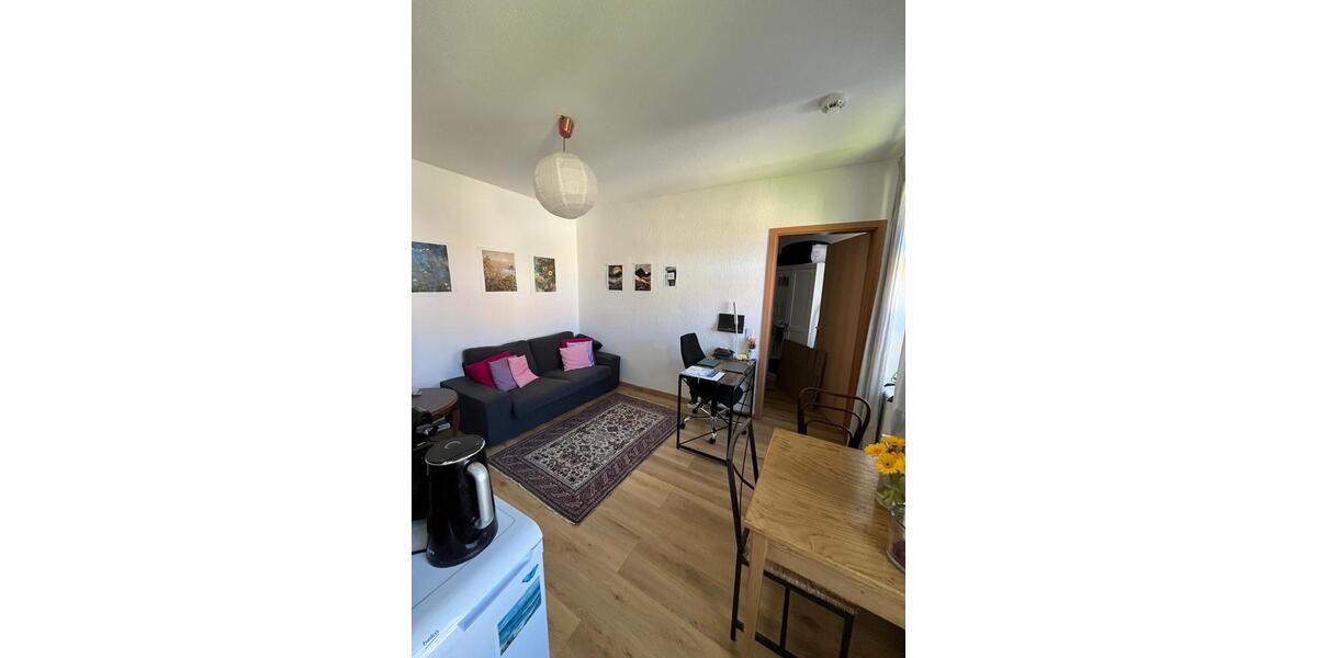 Etagenwohnung Magdeburg - 1 Zimmer, 29 m&sup2;, 420&euro; | Angebot:26688102