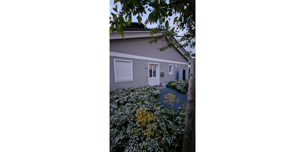 Erdgeschoßwohnung Bernhardswald - 1 Zimmer, 48 m&sup2;, 800&euro; | Angebot:26619036