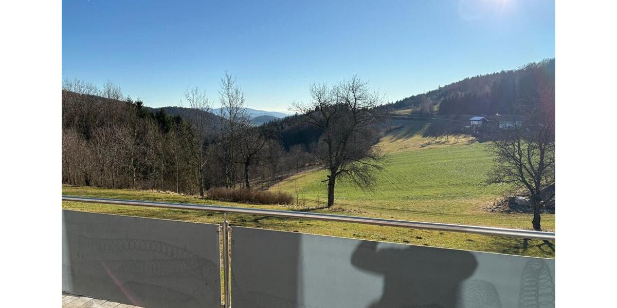 Wohnung neu möbeliert zu vermieten 1 zimmer