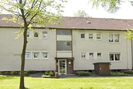Wohnung Gelsenkirchen Resser Mark - 2.5 Zimmer, 43 m&sup2;, 339&euro; | Angebot:25233858