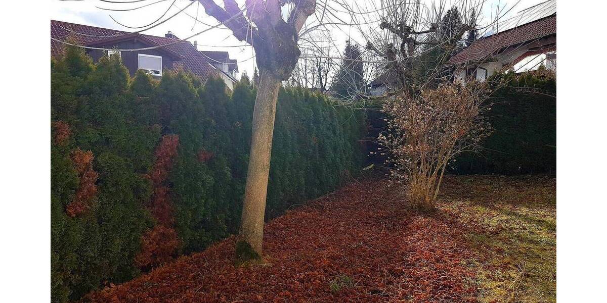 Terrassenwohnung Erlenbach - 2 Zimmer, 60 m&sup2;, 720&euro; | Angebot:26064840