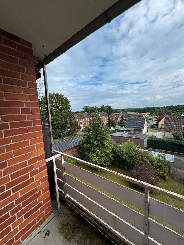 Helle, sanierte 2-Zimmer-Wohnung mit Ballkon und Weitblick