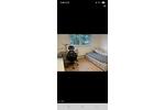 Wohnen auf Zeit Garching bei München - 1 Zimmer, 15 m&sup2;, 800&euro; | Angebot:26606951