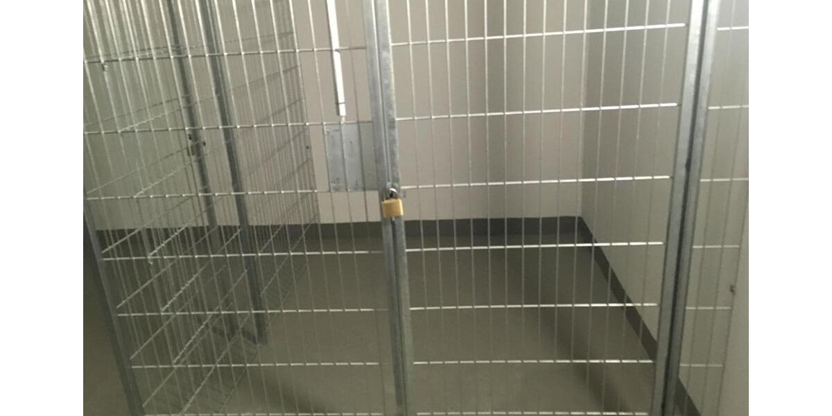 Neuwertige 2-Zimmer-Mietwohnung mit Balkon In Langen 2 zimmer