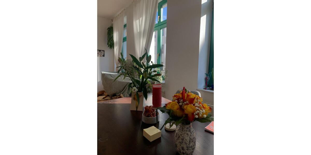 Wohnen auf Zeit Magdeburg - 2 Zimmer, 58 m&sup2;, 800&euro; | Angebot:25868005