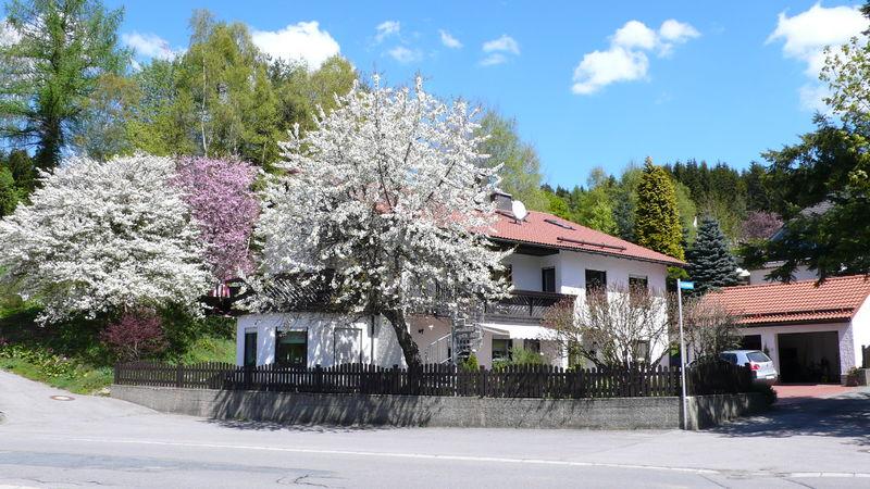 Terrassenwohnung Tettau - 3 Zimmer, 90 m&sup2;, 99&euro; | Angebot:26682602