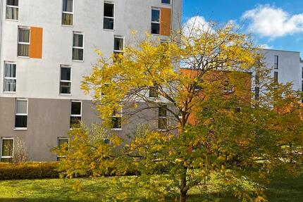 Wohnung Rotenburg an der Fulda - 2 Zimmer, 10 m&sup2;, 408&euro; | Angebot:24478731