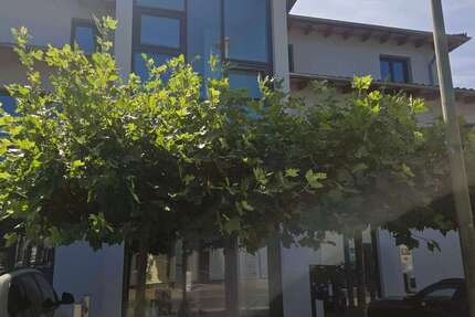 Gewerbeobjekt Lohmar Bach - 952&euro; | Angebot:27029399