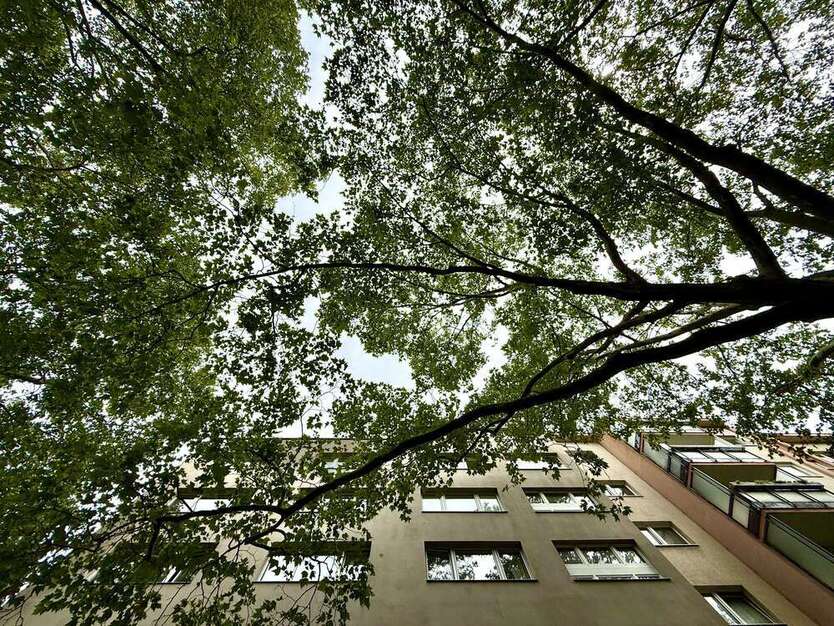 Wohnung zum Mieten in Berlin 699 € 25.3 m²
