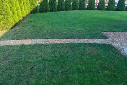 Wohnung Nienhagen - 2 Zimmer, 45 m&sup2;, 400&euro; | Angebot:25637531