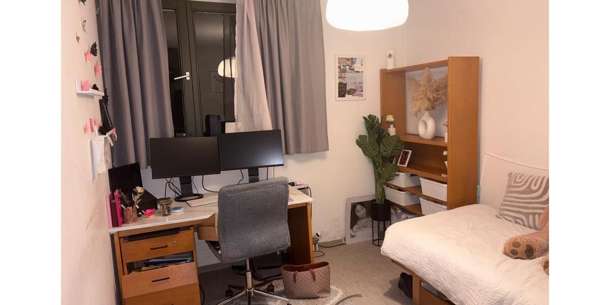 Wohnen auf Zeit Bonn Poppelsdorf - 1 Zimmer, 15 m&sup2;, 350&euro; | Angebot:26479150
