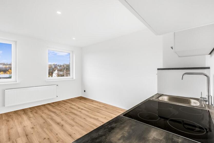 Schöne und helle 1.5 Zimmer Wohnung in Hof