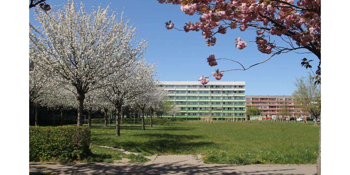 Etagenwohnung Bernburg Roschwitz - 3 Zimmer, 71 m&sup2;, 389&euro; | Angebot:27044455
