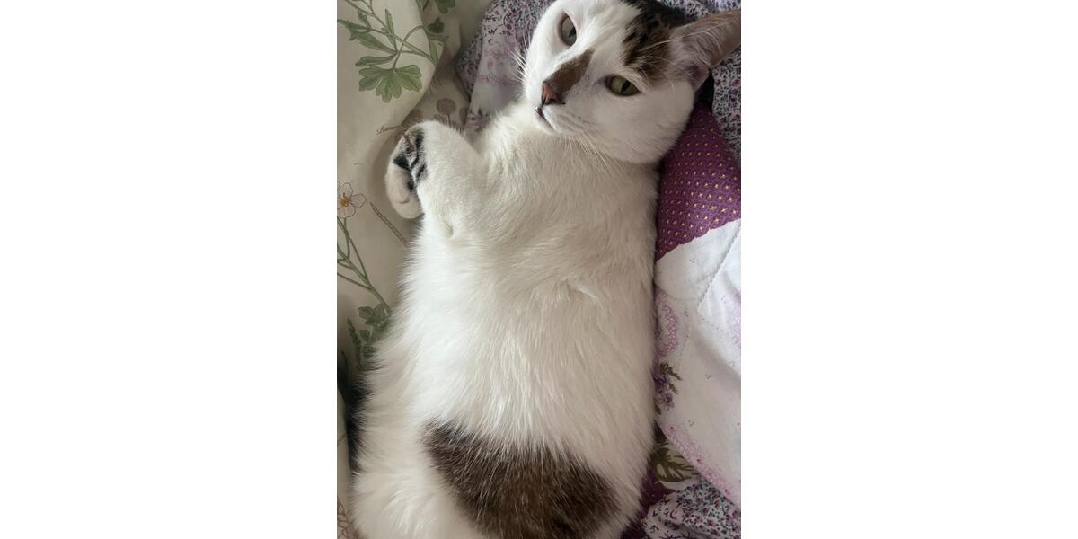 Wohnen auf Zeit Uttenreuth - 12 Zimmer, 78 m&sup2;, 400&euro; | Angebot:24593608