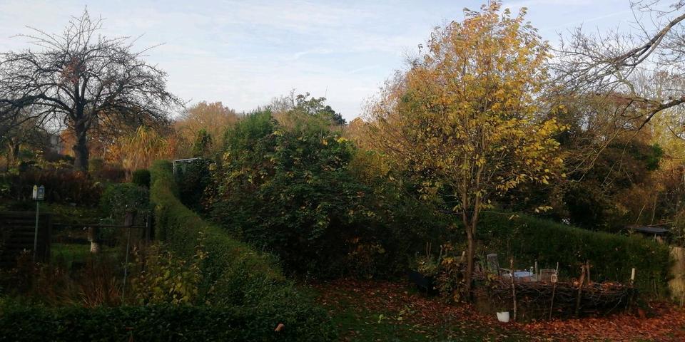 Wohnen auf Zeit Kiel Schreventeich - 1 Zimmer, 18 m&sup2;, 444&euro; | Angebot:23381791