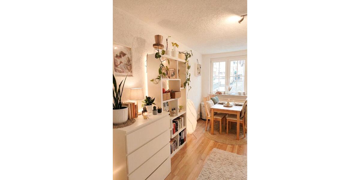 Wohnen auf Zeit Marbach am Neckar - 1 Zimmer, 18 m&sup2;, 520&euro; | Angebot:25931369