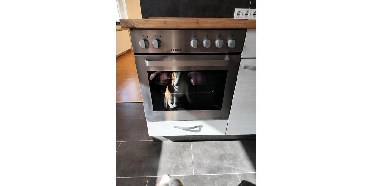 Etagenwohnung Halle - 4 Zimmer, 96 m&sup2;, 950&euro; | Angebot:25831655