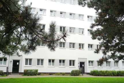 Wohnung Braunschweig Viewegsgarten- Bebelhof - 2.5 Zimmer, 59 m&sup2;, 428&euro; | Angebot:27270426