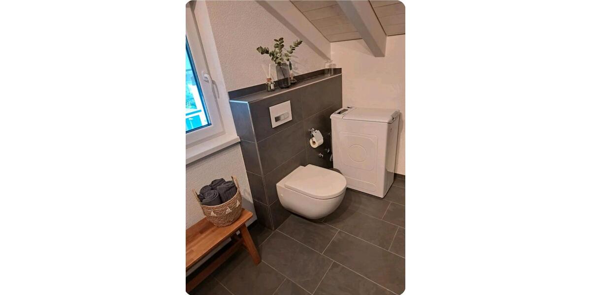 Wohnen auf Zeit Singen (Hohentwiel) - 2 Zimmer, 65 m&sup2;, 1.400&euro; | Angebot:25433497