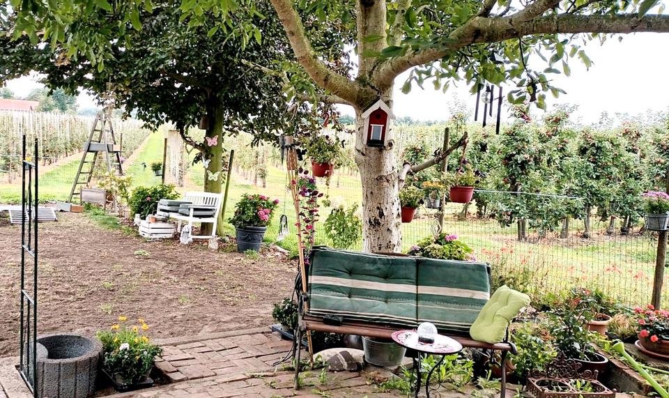 Einfamilienhaus Oederquart - 1 Zimmer, 180 m&sup2;, 650&euro; | Angebot:24741405