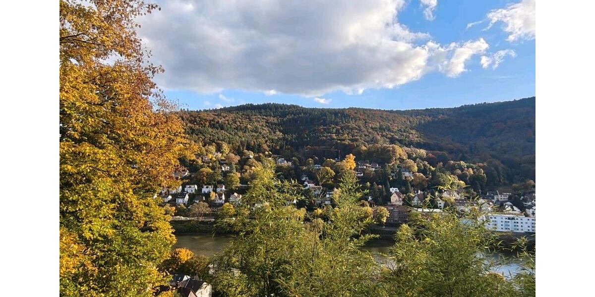 Wohnen auf Zeit Heidelberg Peterstal - 3 Zimmer, 120 m&sup2;, 825&euro; | Angebot:24849433