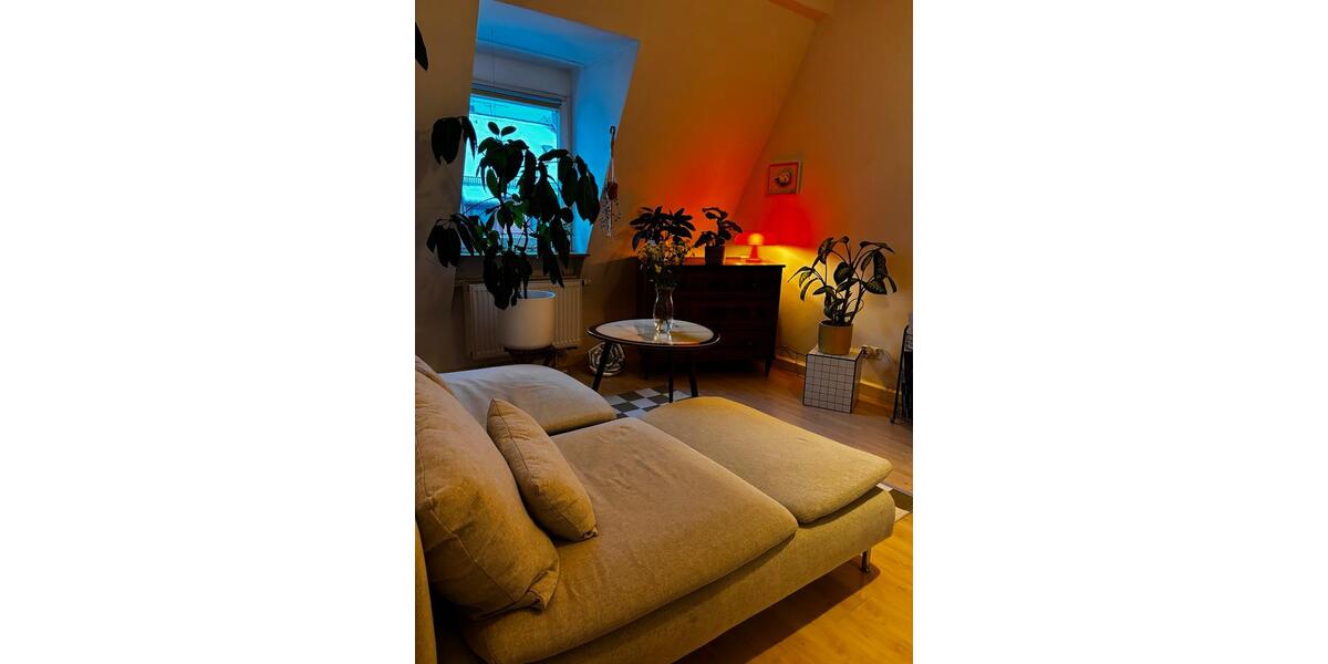 Nachmieter:in zum 01.03. 2 Zi. St. Johannis 2 zimmer