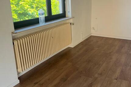 Wohnen auf Zeit Hanau - 1 Zimmer, 42 m&sup2;, 475&euro; | Angebot:25926296